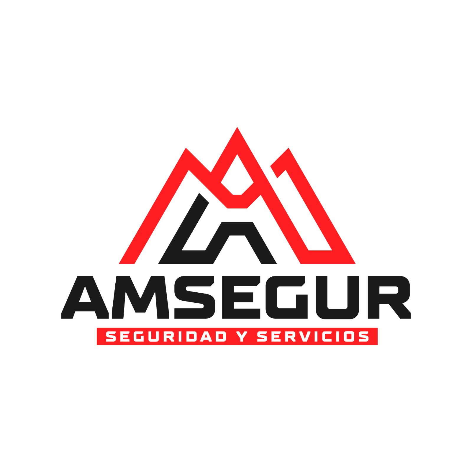 AMSEGUR — Seguridad y servicios